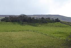 William's Hill Castle